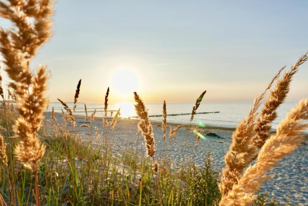 Ferienwohnung Strandurlaub 보르게렌데레트비슈 외부 사진
